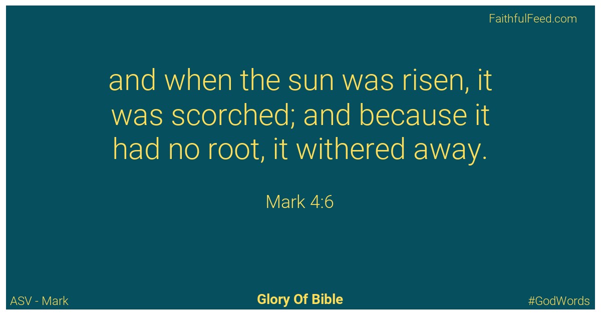 Mark 4:6 - Asv