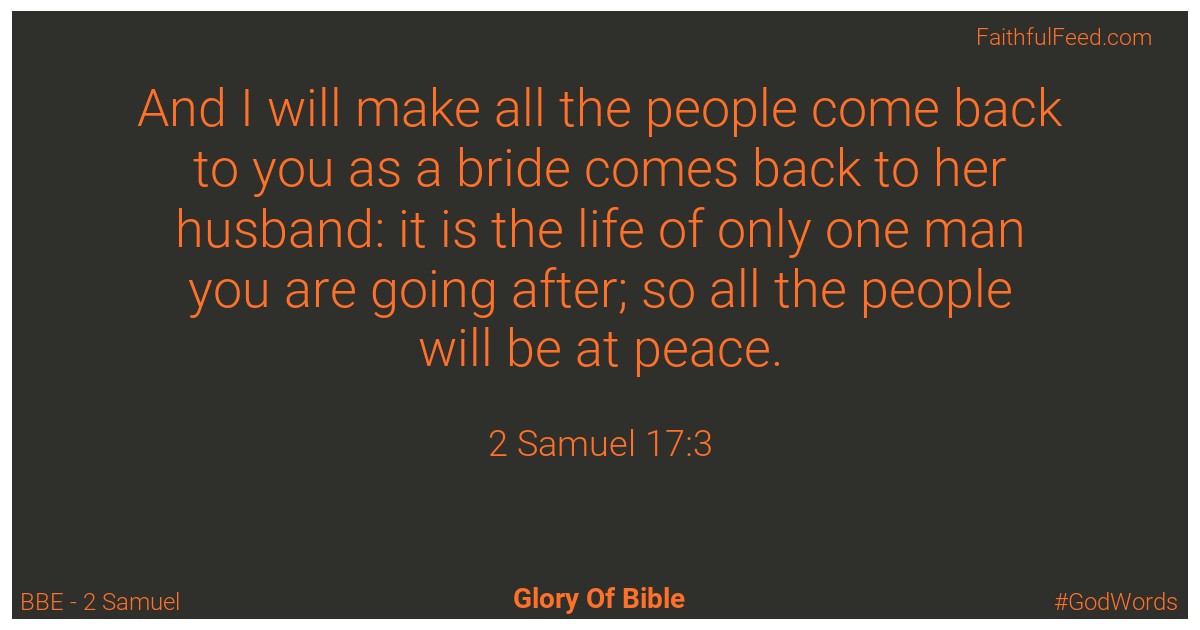 2-samuel 17:3 - Bbe