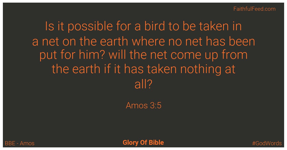 Amos 3:5 - Bbe