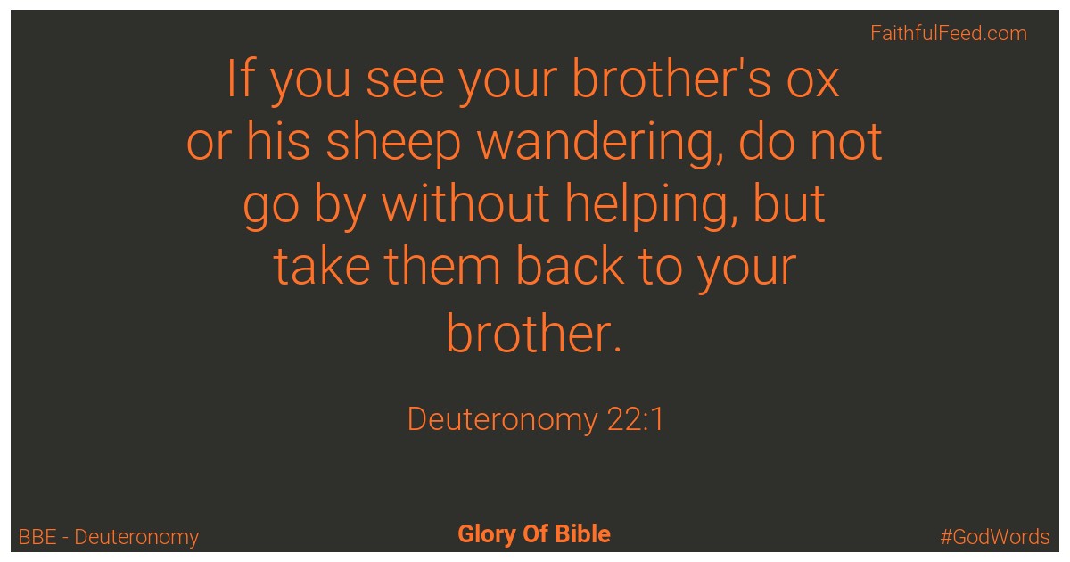 Deuteronomy 22:1 - Bbe