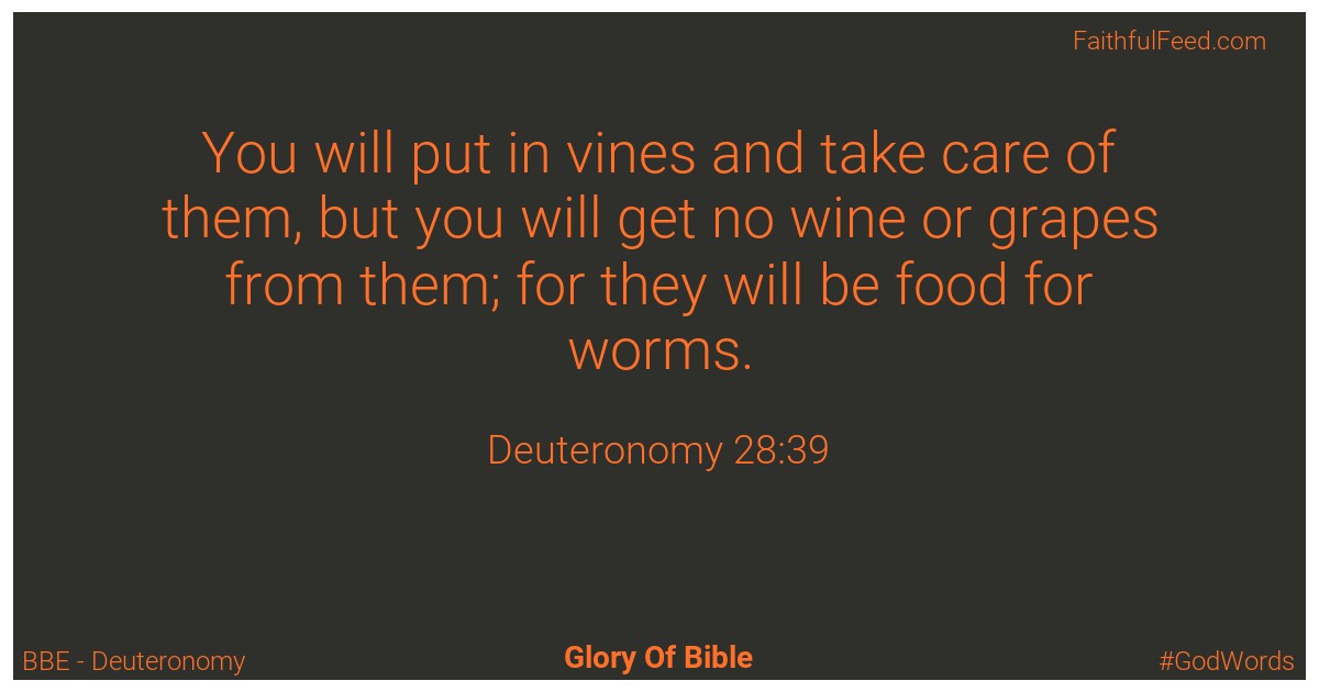 Deuteronomy 28:39 - Bbe