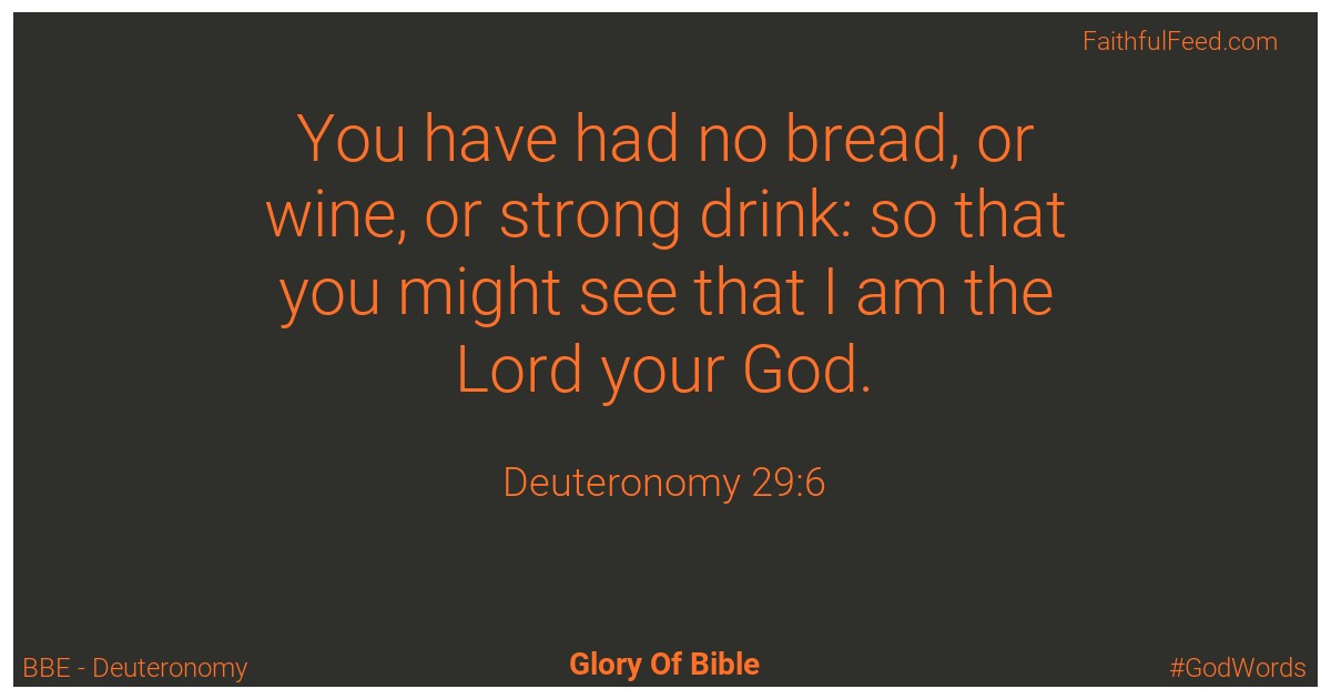 Deuteronomy 29:6 - Bbe