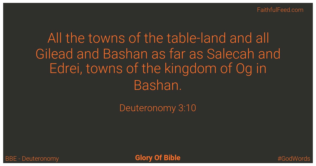 Deuteronomy 3:10 - Bbe