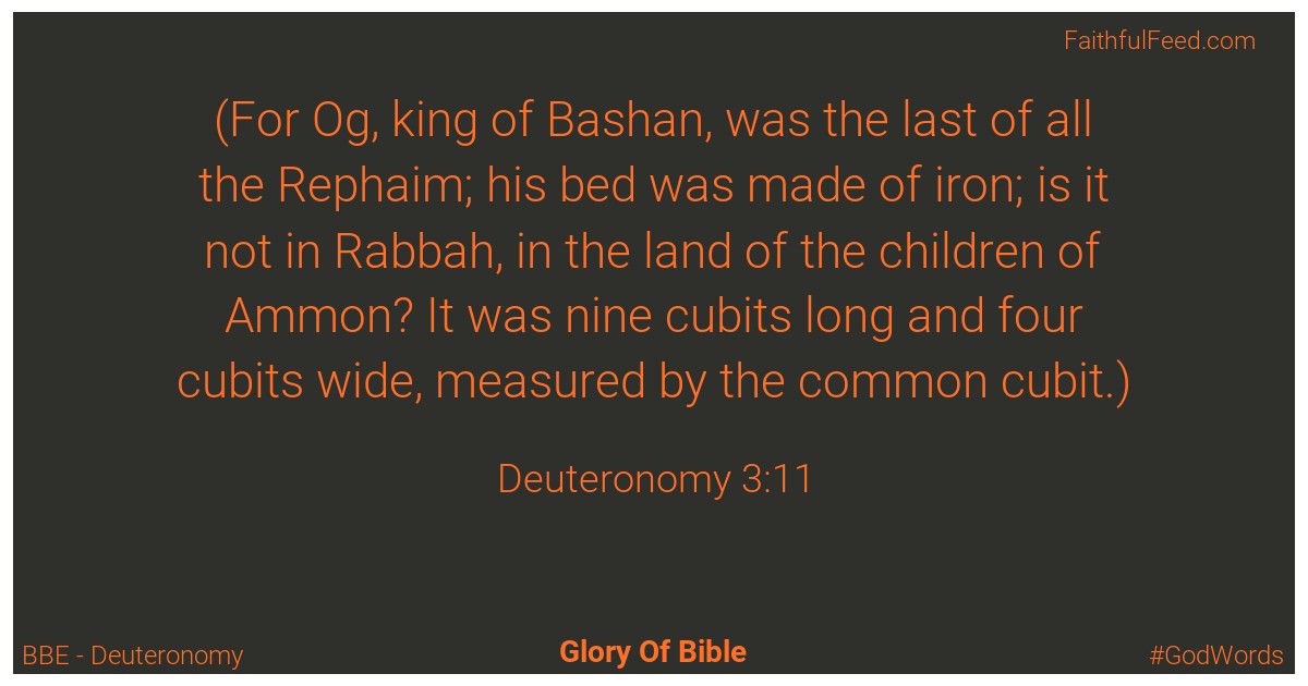 Deuteronomy 3:11 - Bbe