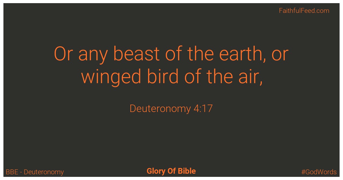 Deuteronomy 4:17 - Bbe