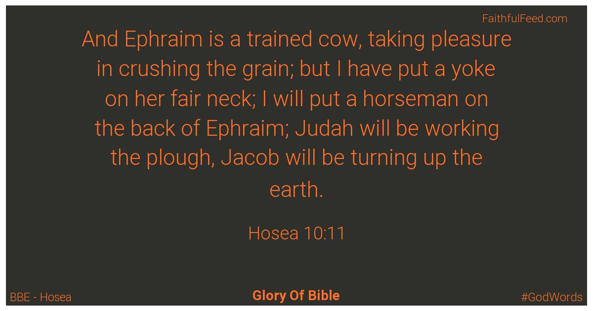 Hosea 10:11 - Bbe