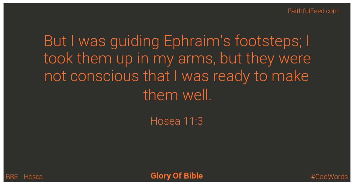 Hosea 11:3 - Bbe