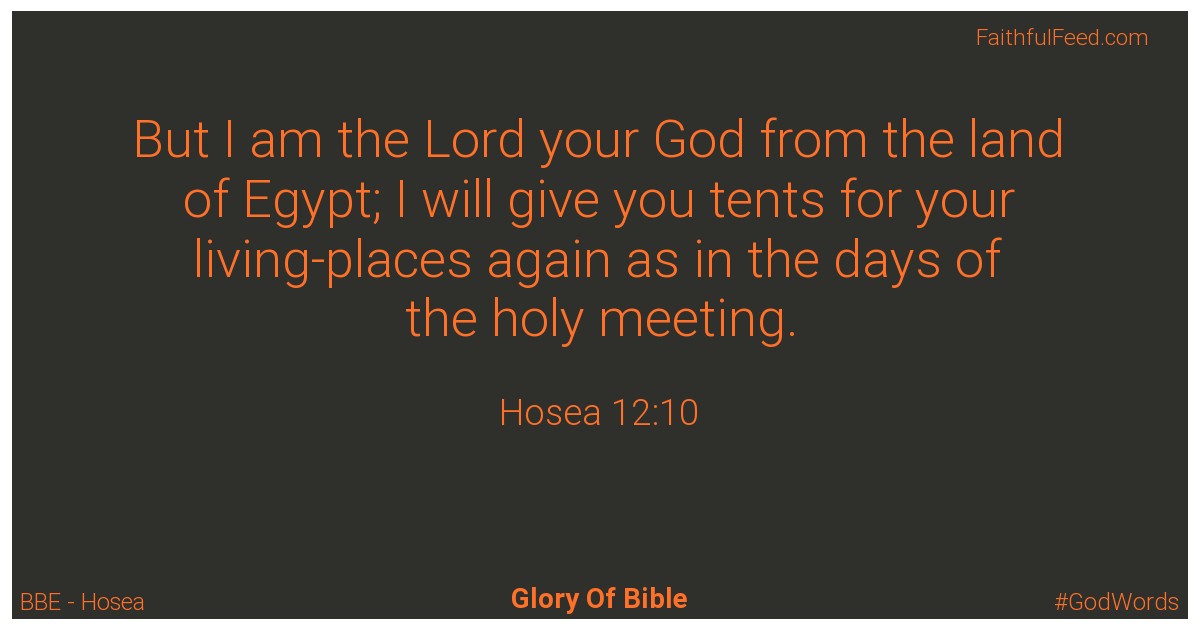 Hosea 12:10 - Bbe