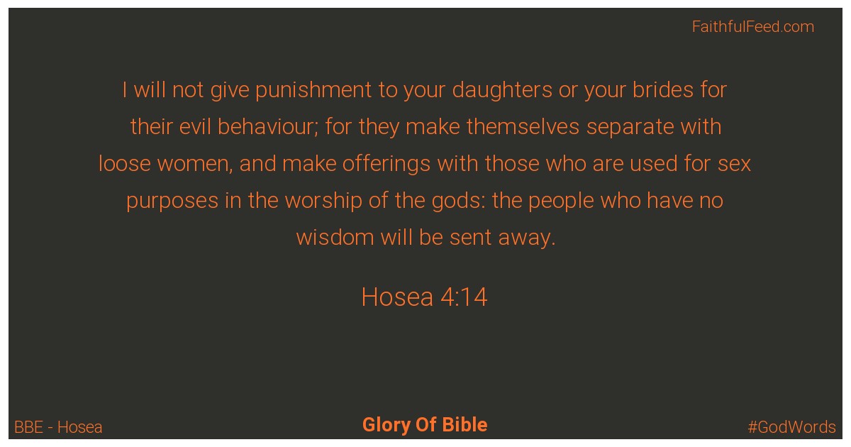 Hosea 4:14 - Bbe