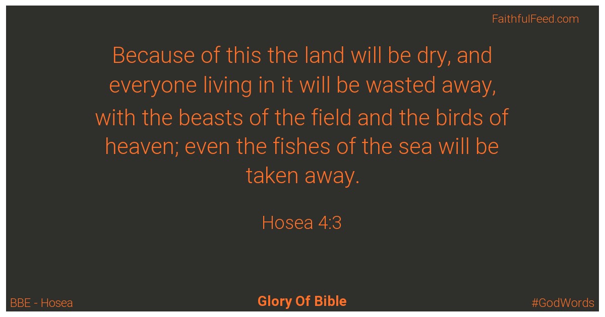 Hosea 4:3 - Bbe