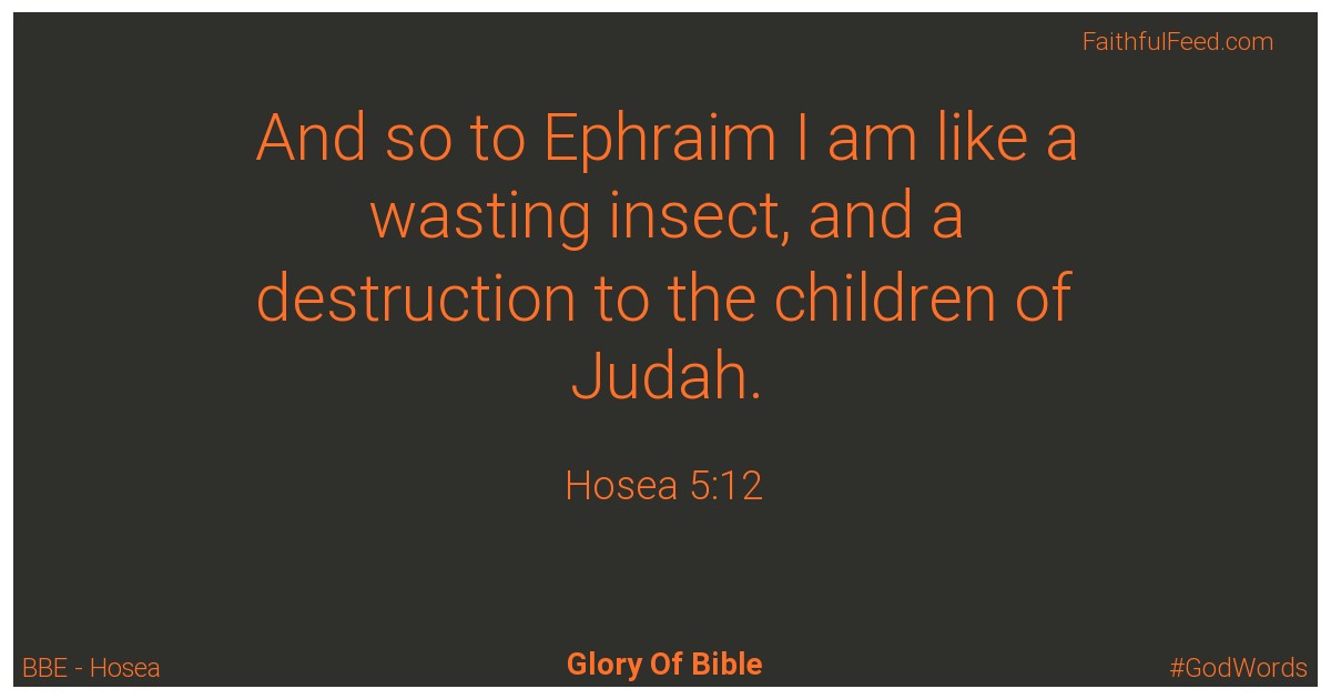 Hosea 5:12 - Bbe