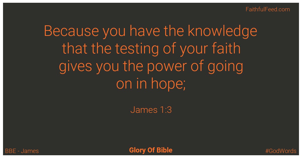 James 1:3 - Bbe