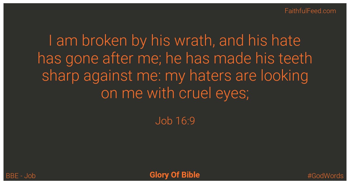 Job 16:9 - Bbe