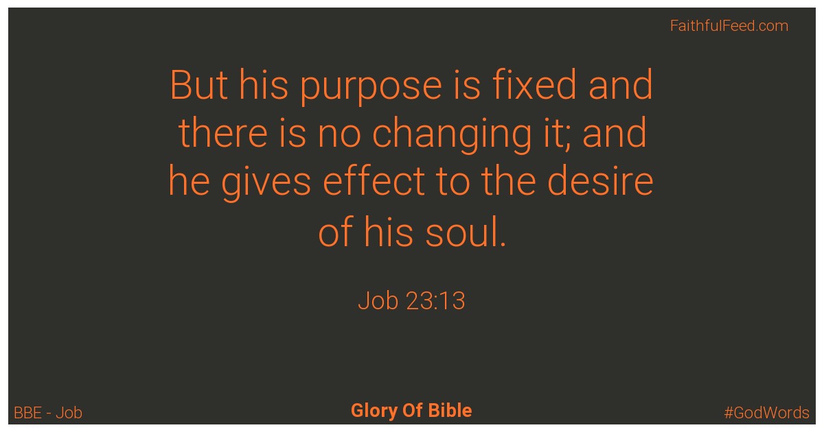 Job 23:13 - Bbe