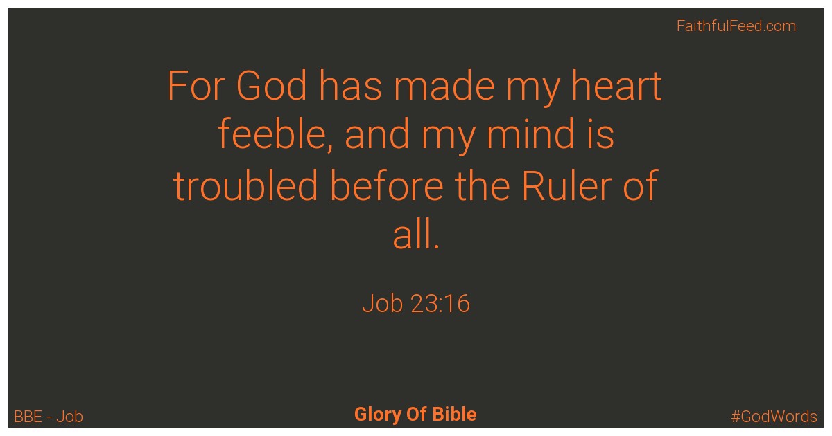 Job 23:16 - Bbe