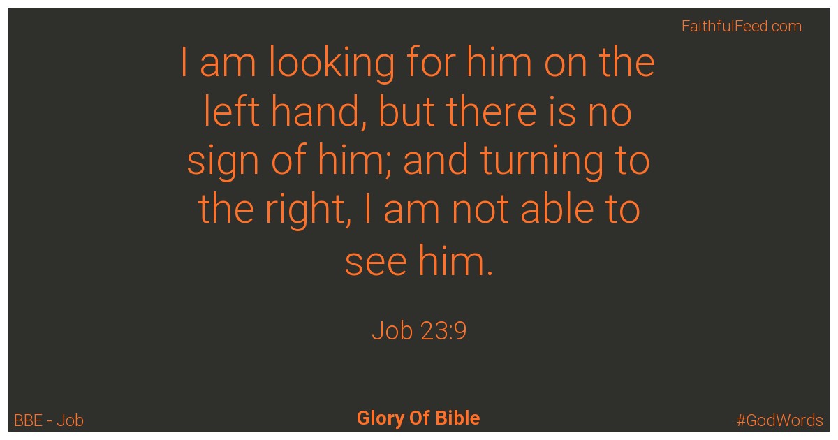 Job 23:9 - Bbe