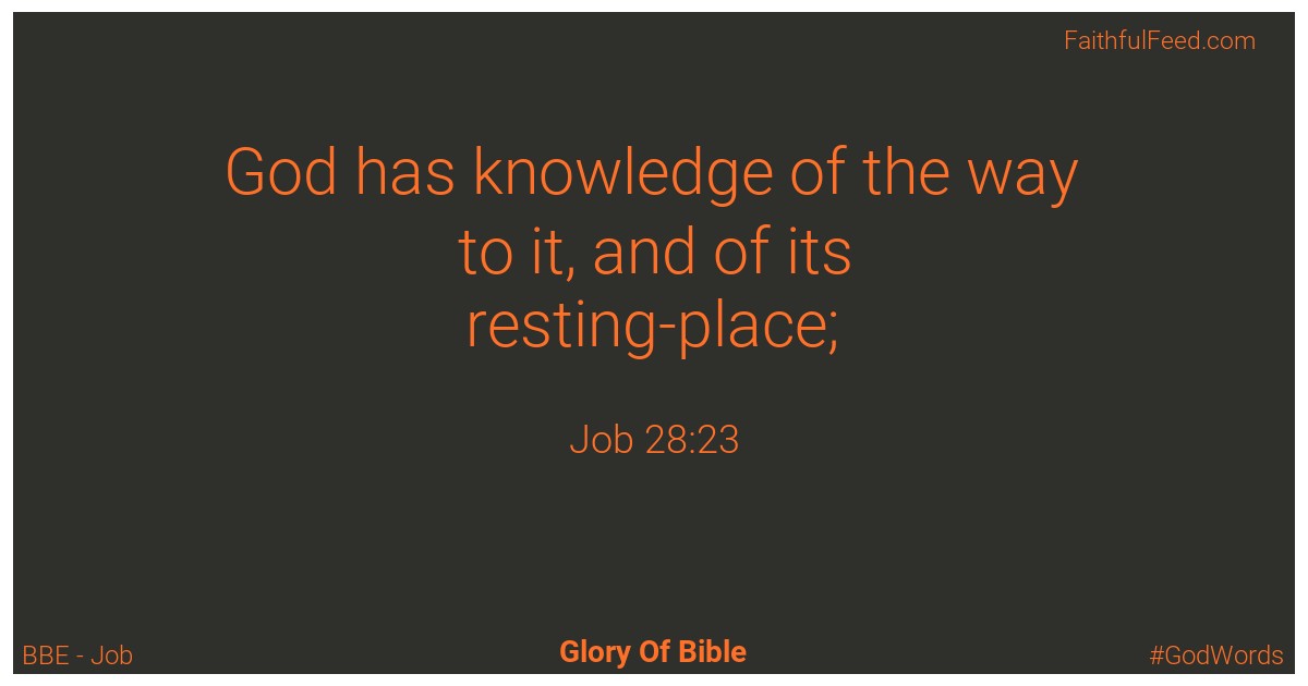 Job 28:23 - Bbe