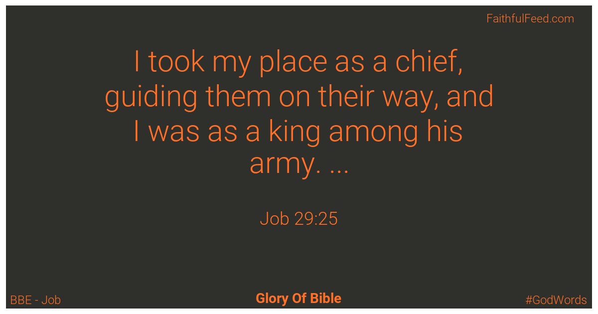 Job 29:25 - Bbe