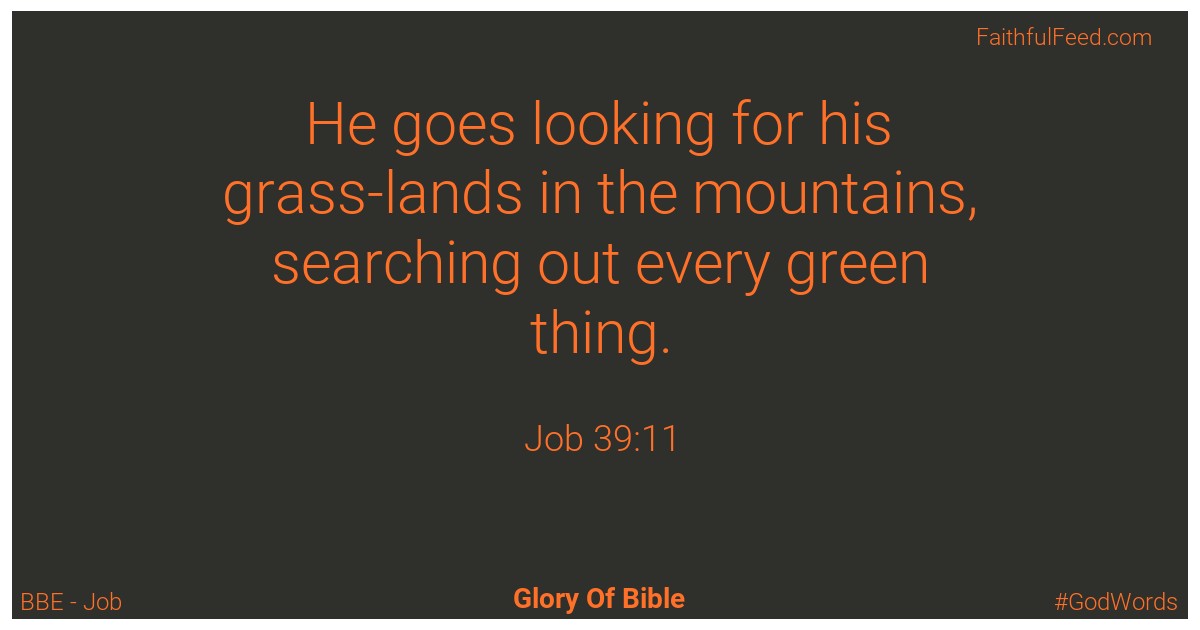 Job 39:11 - Bbe