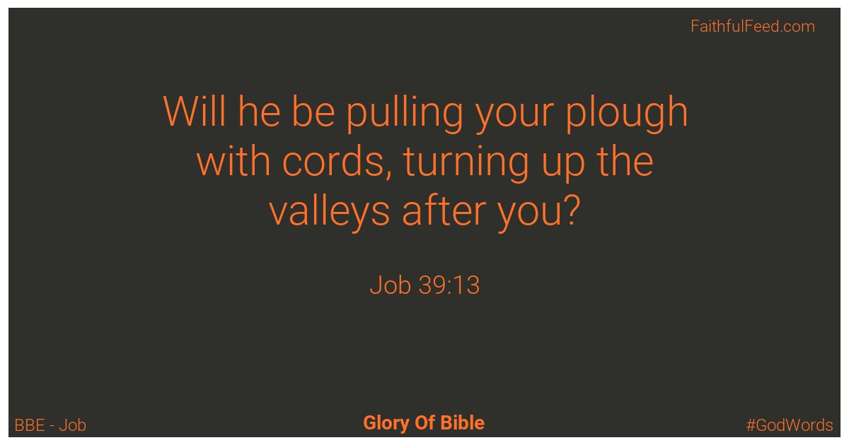 Job 39:13 - Bbe