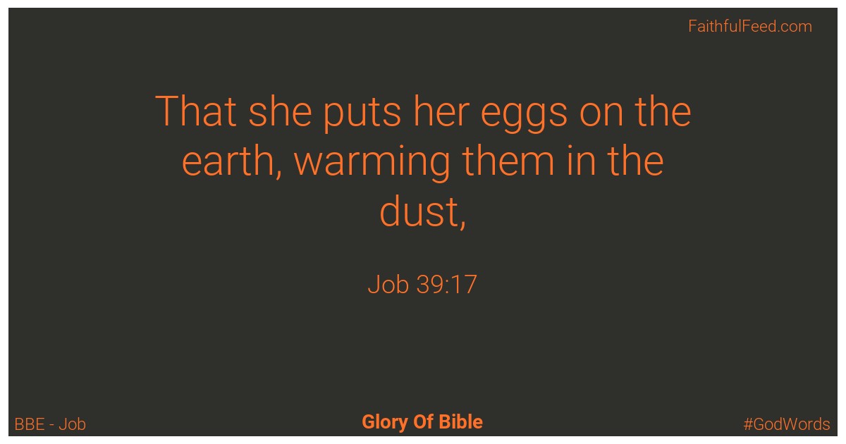 Job 39:17 - Bbe