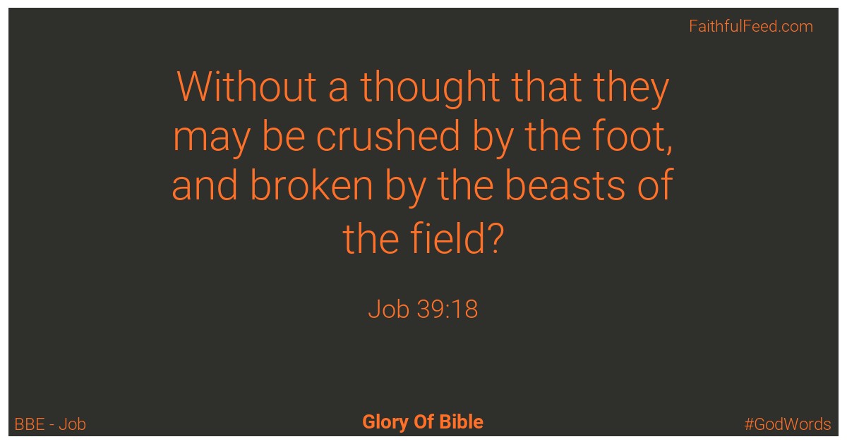 Job 39:18 - Bbe