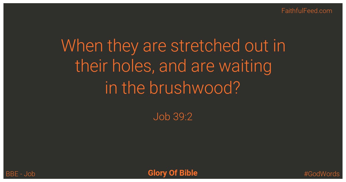 Job 39:2 - Bbe