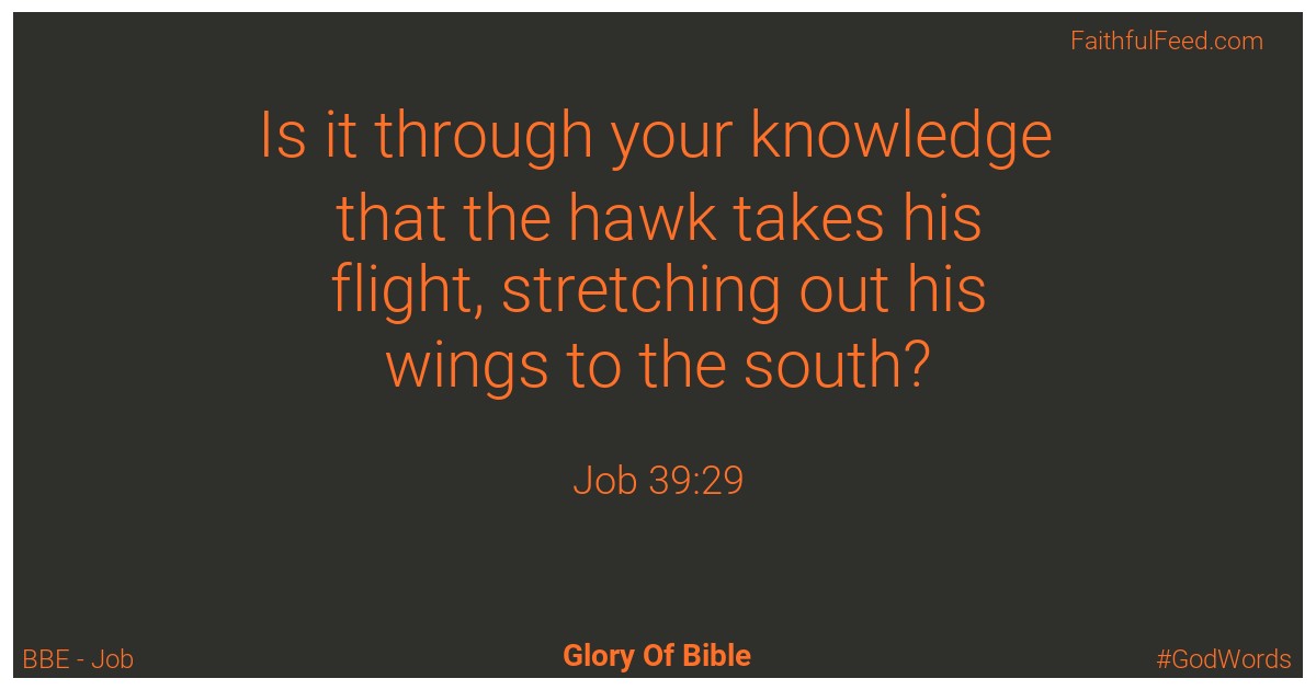 Job 39:29 - Bbe