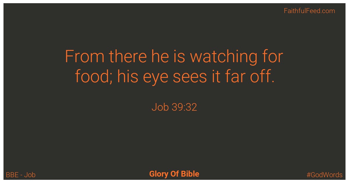 Job 39:32 - Bbe