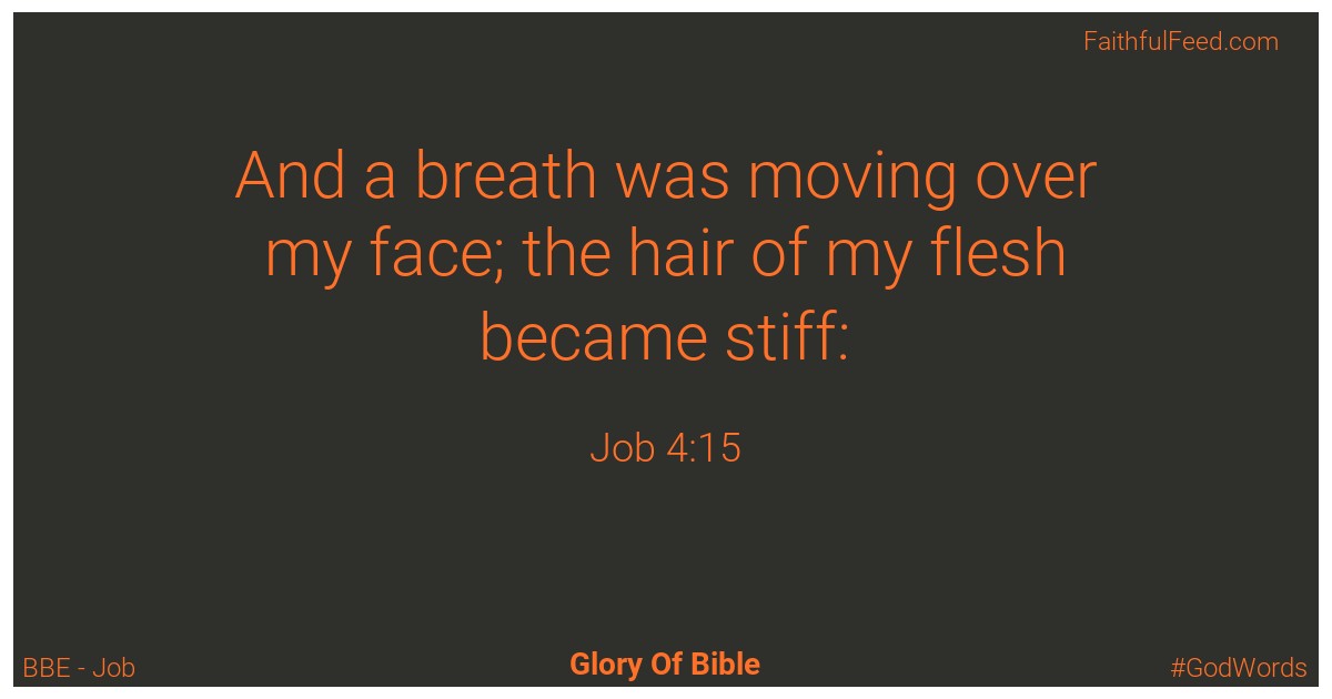 Job 4:15 - Bbe