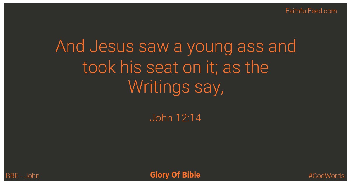 John 12:14 - Bbe