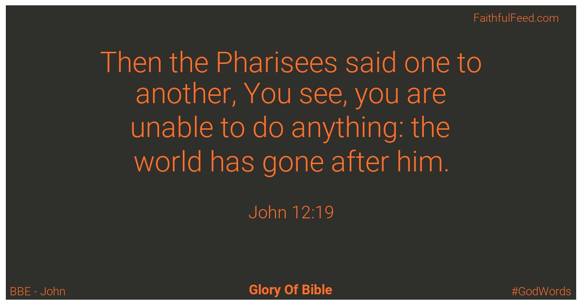 John 12:19 - Bbe