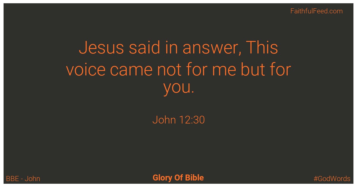 John 12:30 - Bbe