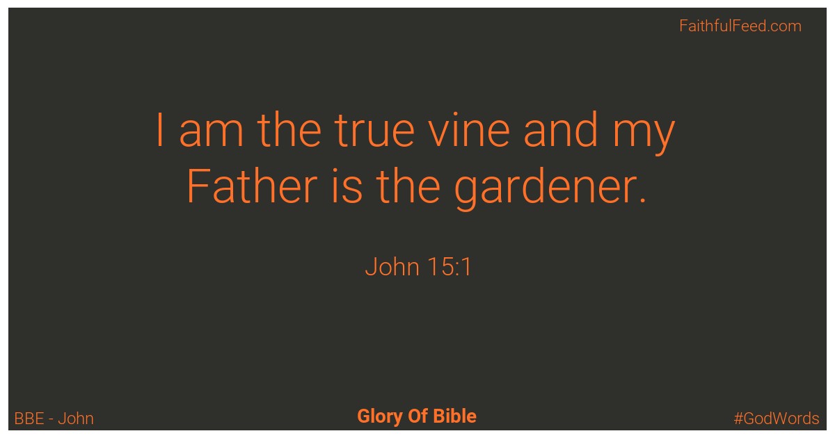 John 15:1 - Bbe