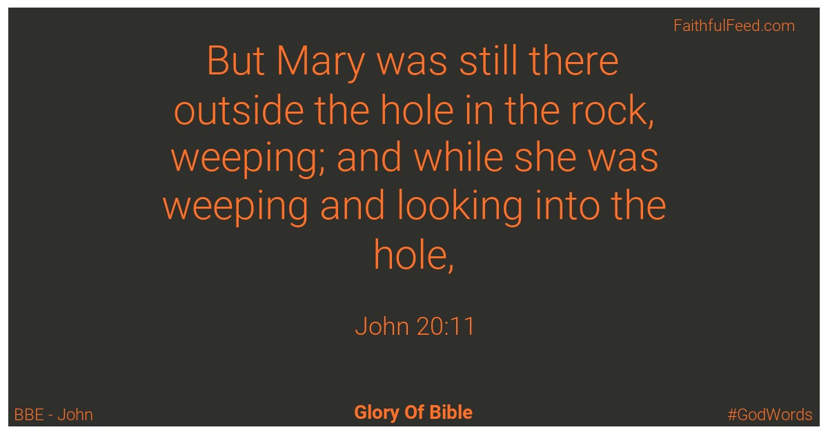 John 20:11 - Bbe