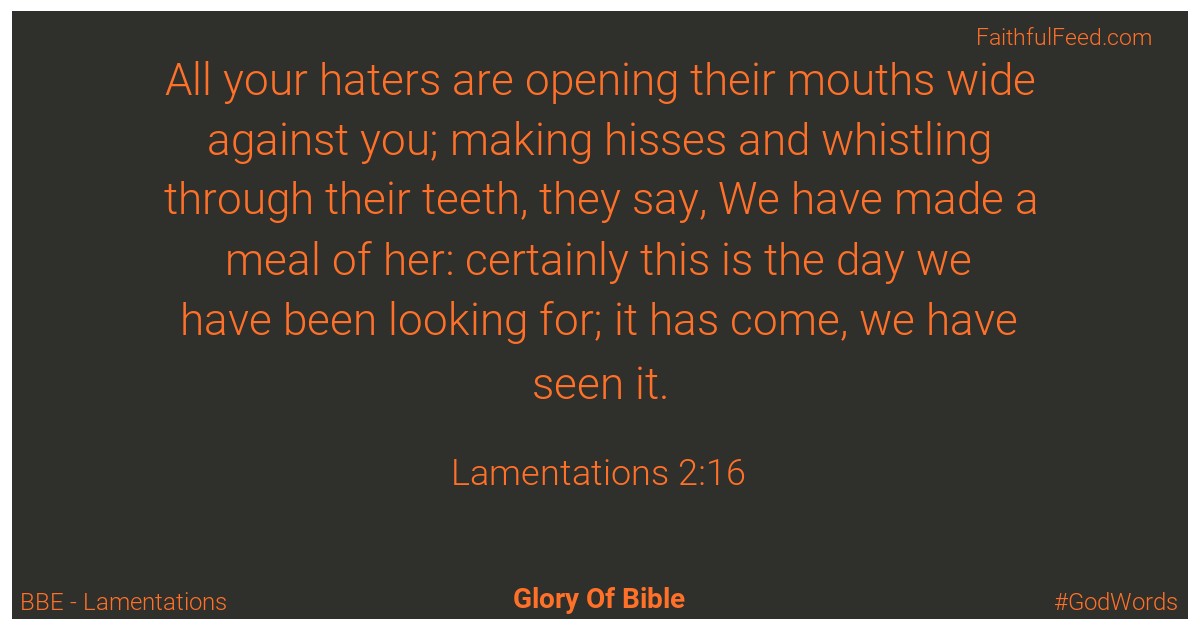 Lamentations 2:16 - Bbe