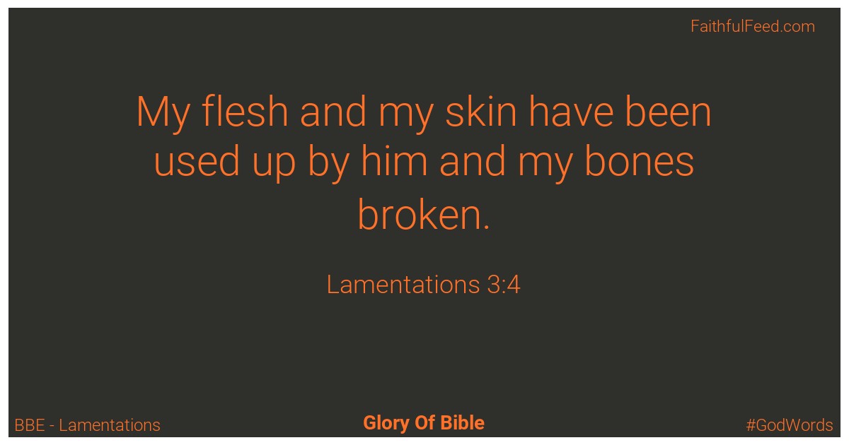 Lamentations 3:4 - Bbe