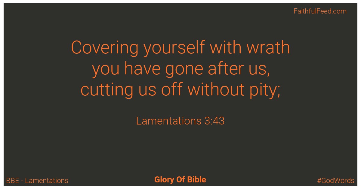 Lamentations 3:43 - Bbe