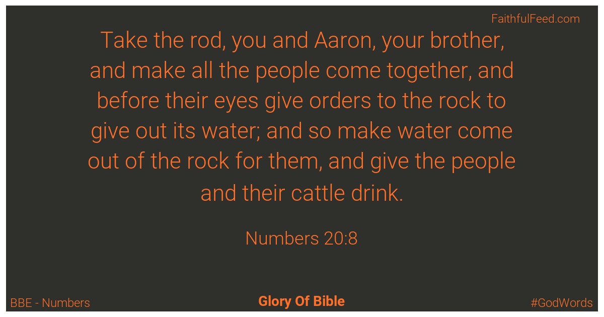 Numbers 20:8 - Bbe