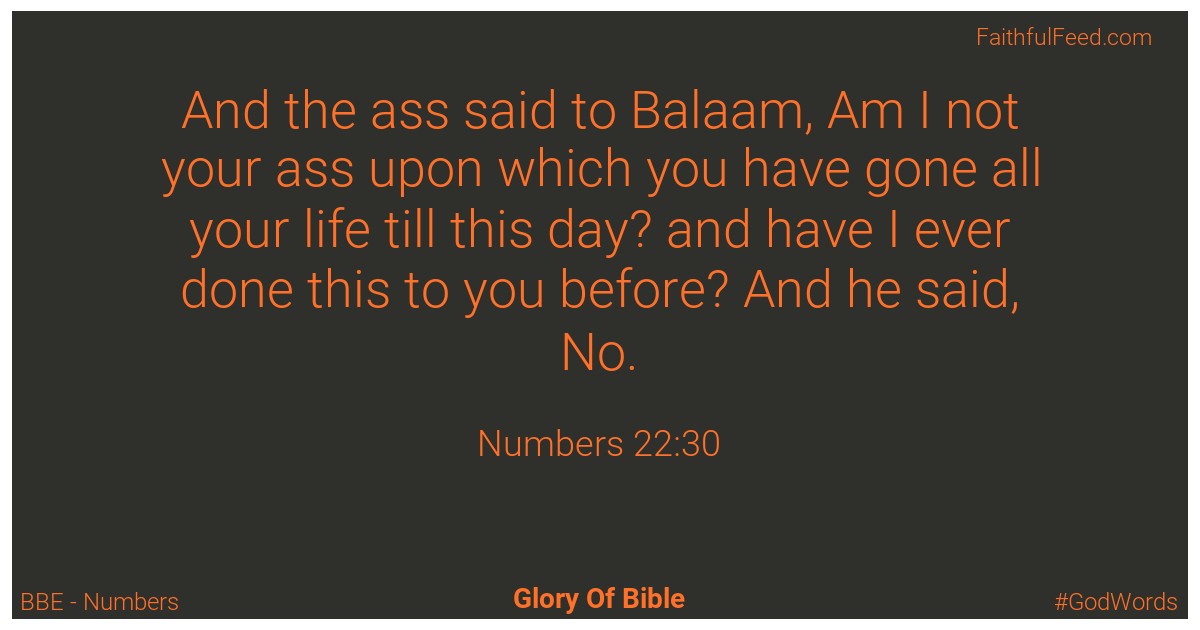 Numbers 22:30 - Bbe