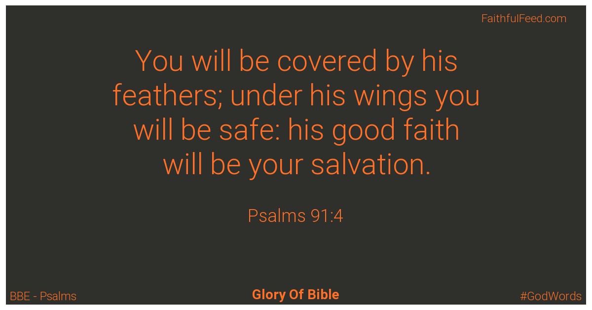 Psalms 91:4 - Bbe