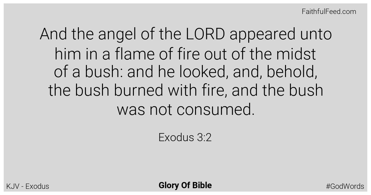 Exodus 3:2 - Kjv