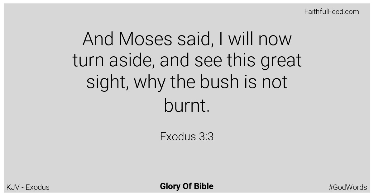 Exodus 3:3 - Kjv