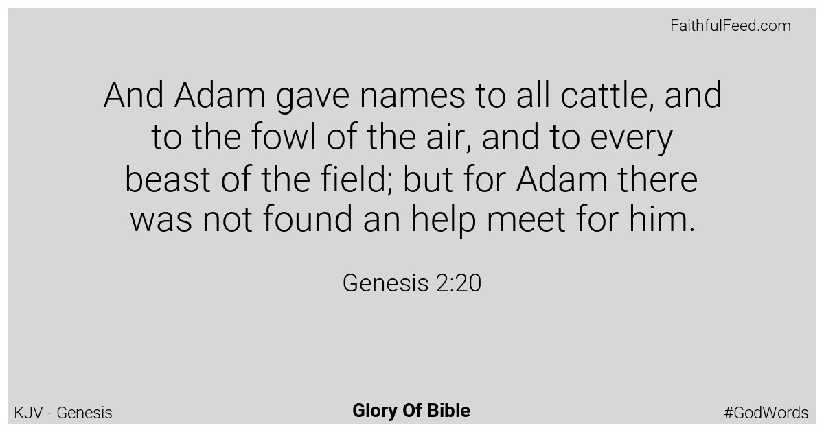 Genesis 2:20 - Kjv