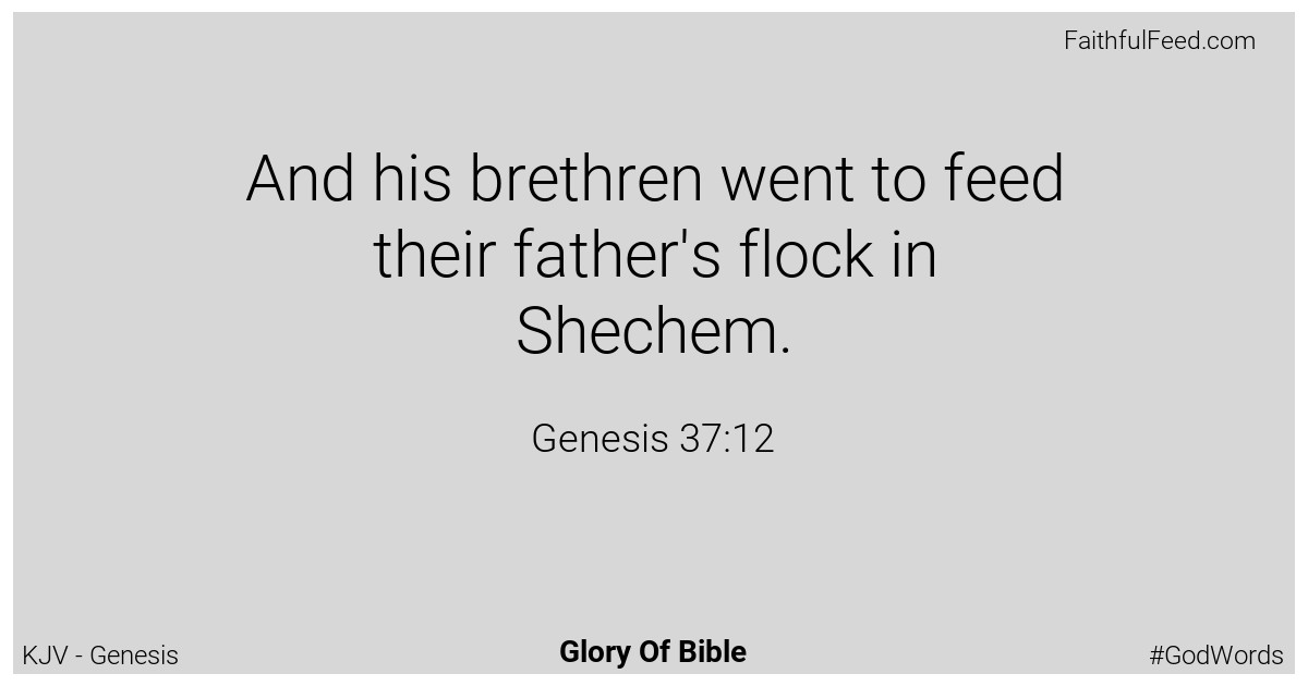 Genesis 37:12 - Kjv