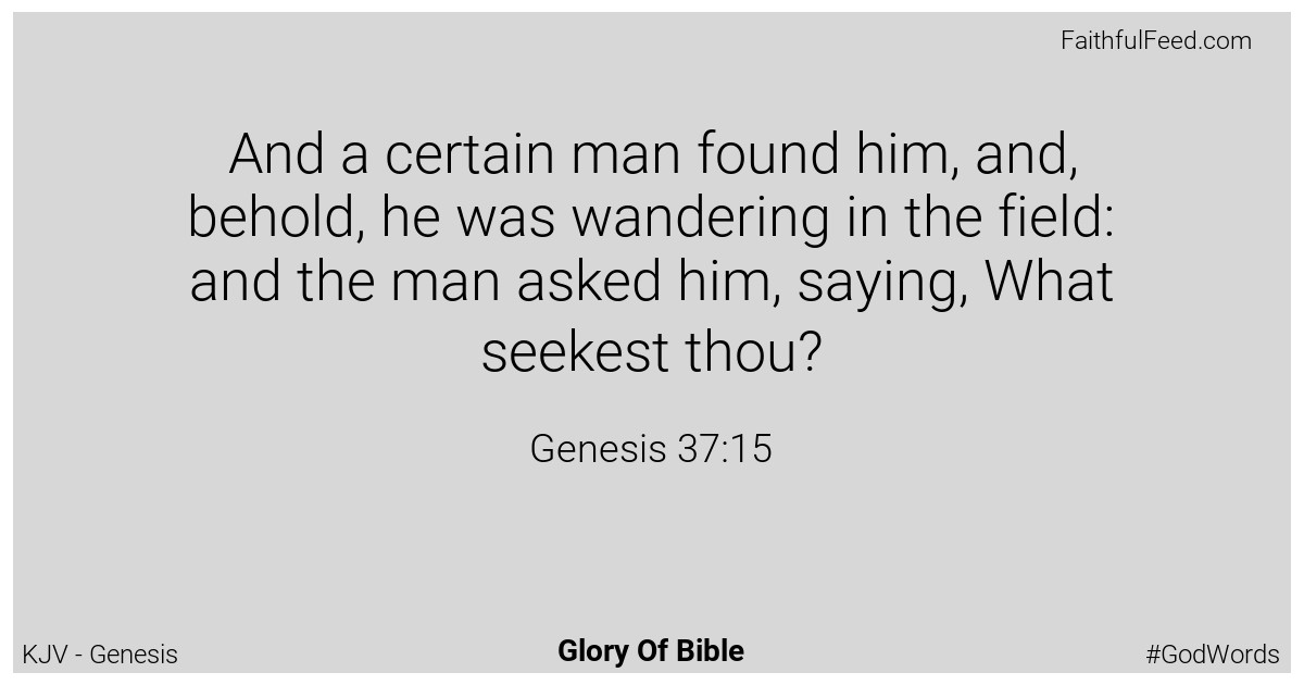 Genesis 37:15 - Kjv