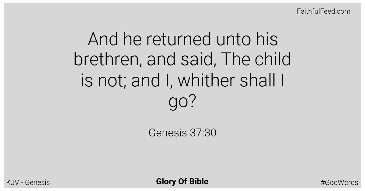 Genesis 37:30 - Kjv