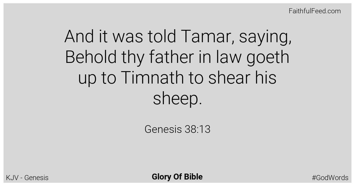 Genesis 38:13 - Kjv