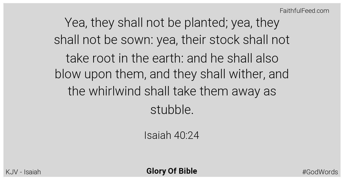 Isaiah 40:24 - Kjv