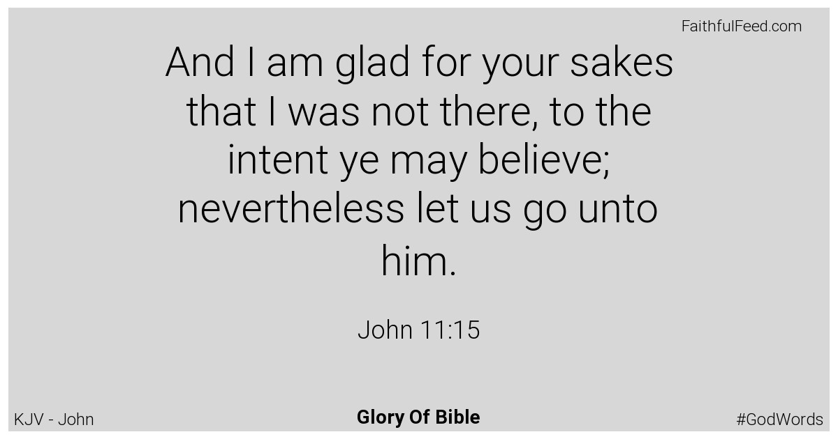 John 11:15 - Kjv